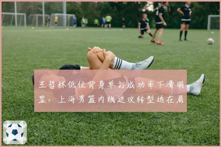 王哲林低位背身单打成功率下滑明显，上海男篮内线进攻转型迫在眉睫？