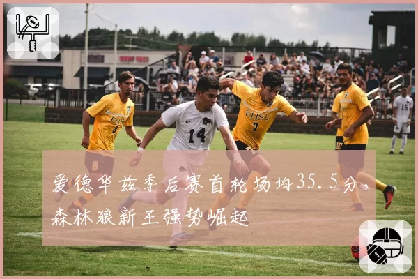 爱德华兹季后赛首轮场均35.5分,森林狼新王强势崛起