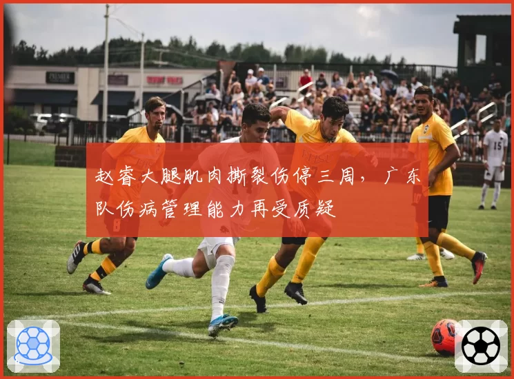 赵睿大腿肌肉撕裂伤停三周,广东队伤病管理能力再受质疑