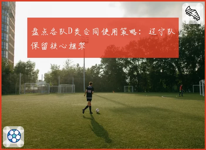 盘点各队D类合同使用策略:辽宁队保留核心框架