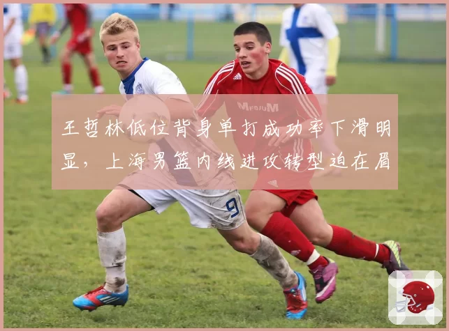 王哲林低位背身单打成功率下滑明显，上海男篮内线进攻转型迫在眉睫？