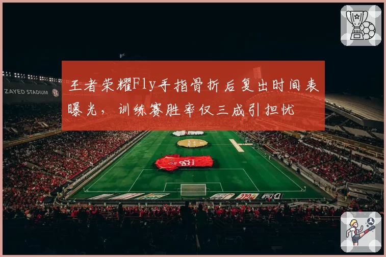 王者荣耀Fly手指骨折后复出时间表曝光，训练赛胜率仅三成引担忧