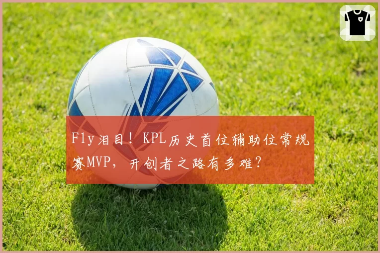 Fly泪目！KPL历史首位辅助位常规赛MVP，开创者之路有多难？